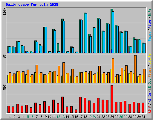Daily usage for July 2025