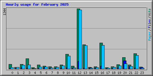 Hourly usage for February 2025